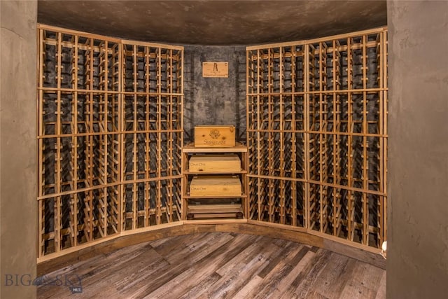 wine cellar featuring wood-type flooring