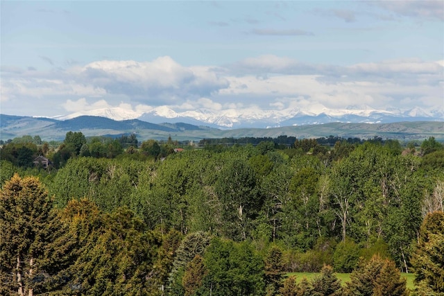 Listing photo 3 for LOT5 Sourdough Rd, Bozeman MT 59715