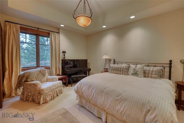 bedroom with carpet and a tray ceiling