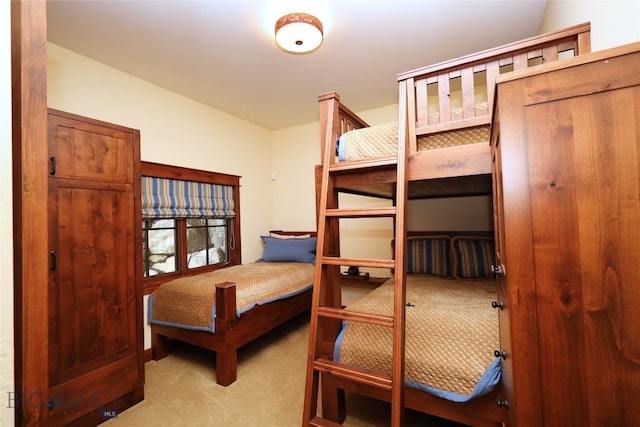 carpeted bedroom featuring a closet