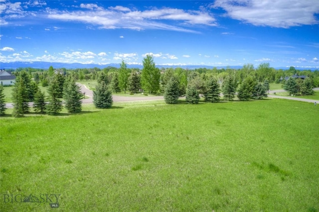 42 Wavy Leaf, Bozeman, MT 59718