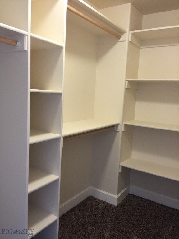 walk in closet featuring carpet flooring