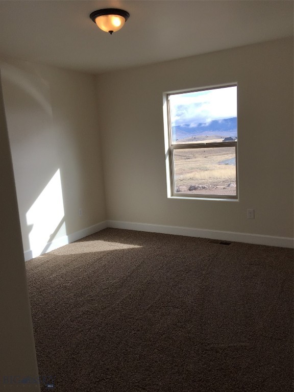 empty room featuring carpet