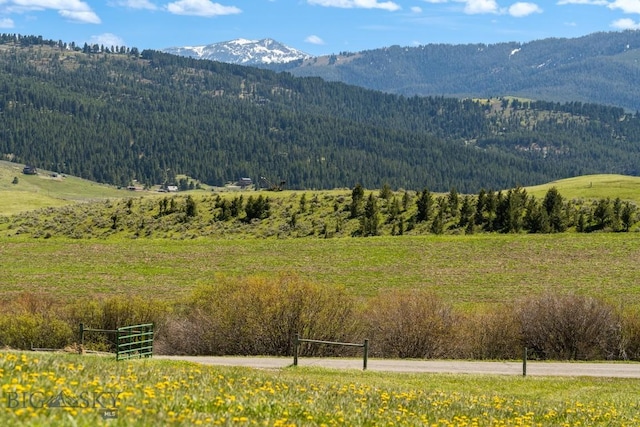 NHN Stublar Rd, Bozeman, MT 59715