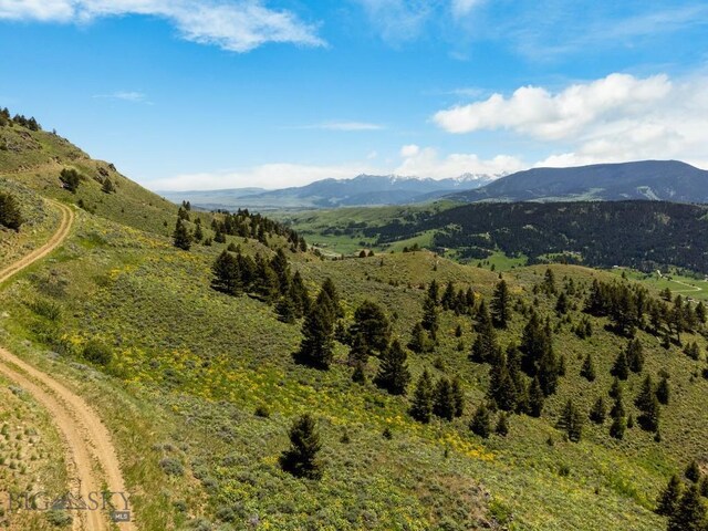 LOT9 Sunflower Ln, Livingston, MT 59047 - photo 13