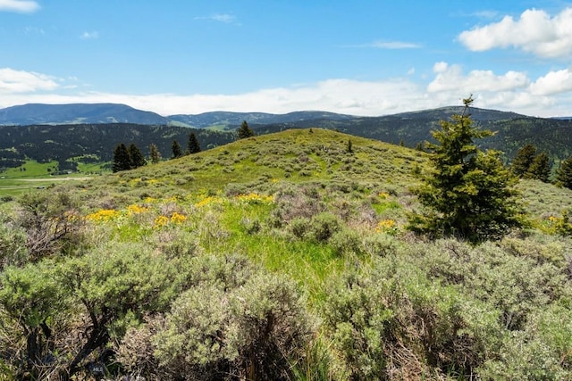 LOT9 Sunflower Ln, Livingston, MT 59047 - photo 22