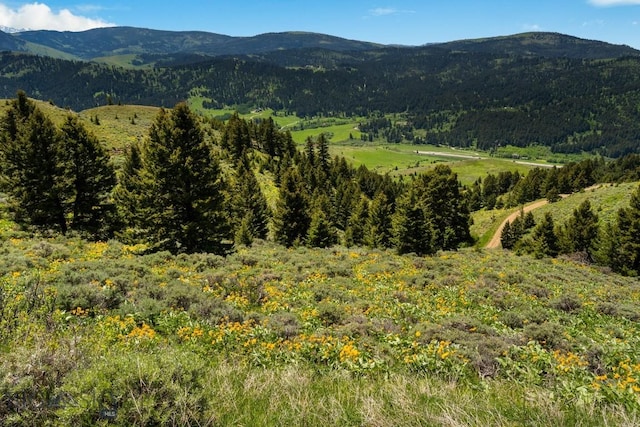 LOT9 Sunflower Ln, Livingston, MT 59047 - photo 24