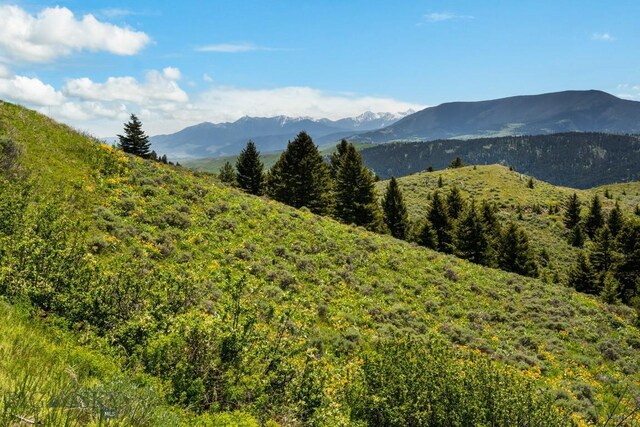 LOT9 Sunflower Ln, Livingston, MT 59047 - photo 25