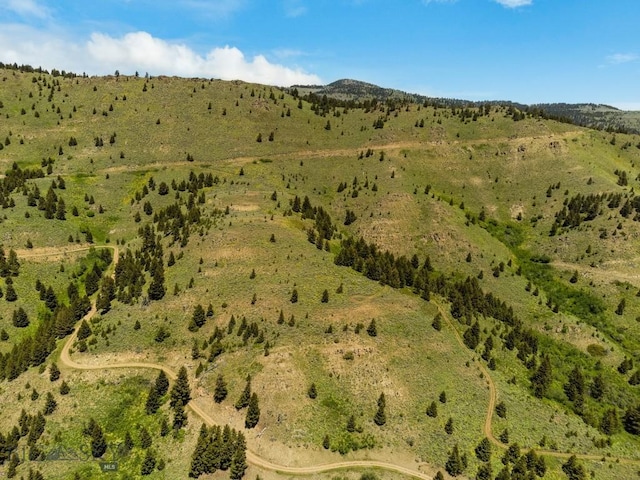 LOT9 Sunflower Ln, Livingston, MT 59047 - photo 29