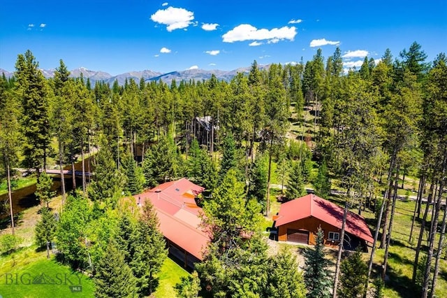 birds eye view of property featuring a mountain view