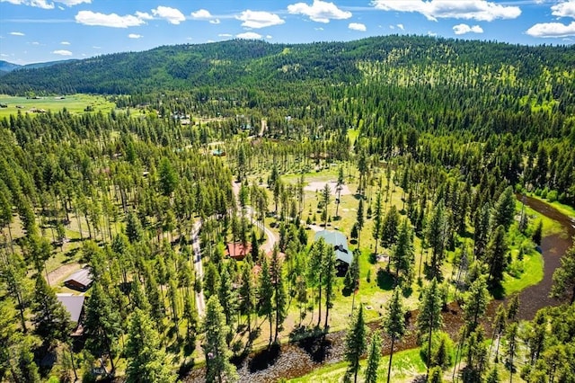 aerial view featuring a mountain view