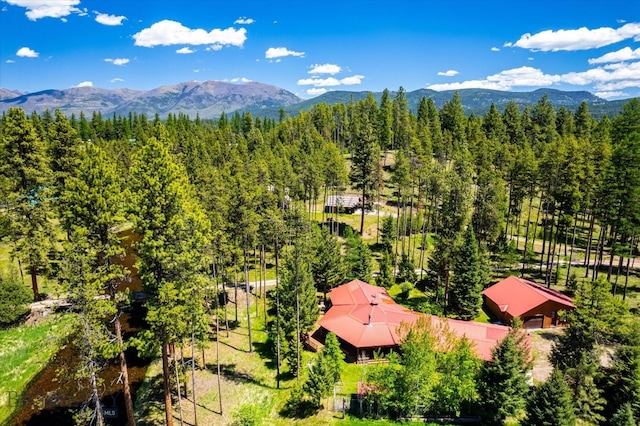 birds eye view of property featuring a mountain view