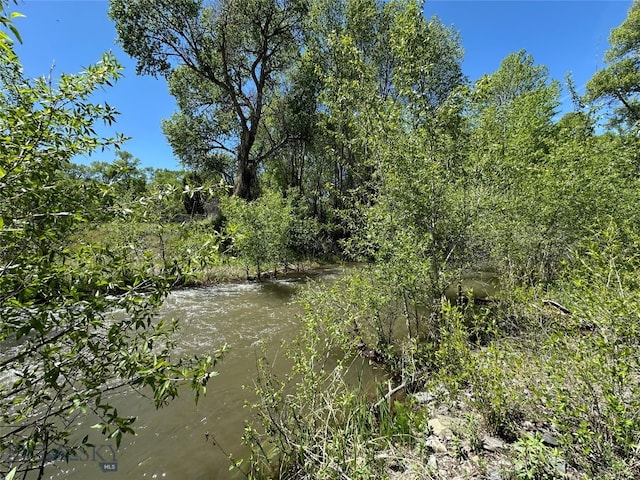 view of nature featuring a water view