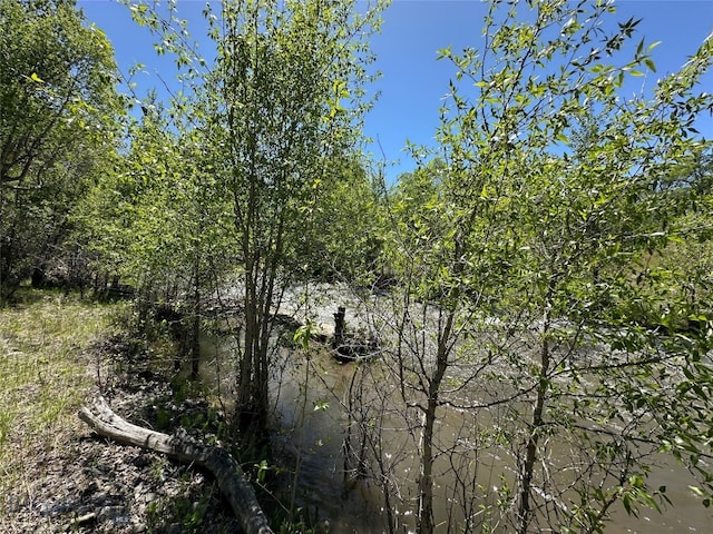 view of nature featuring a water view