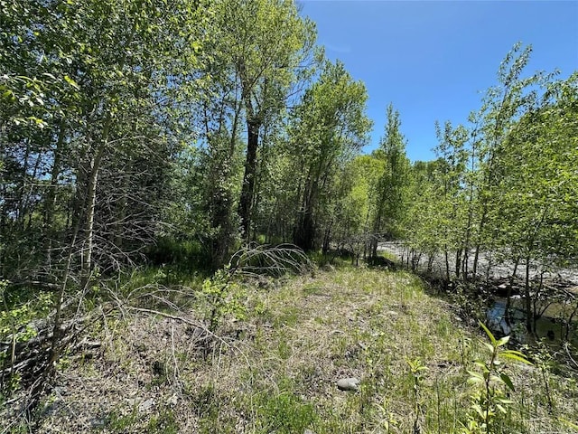 view of landscape
