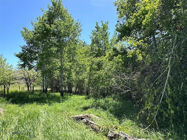 view of landscape featuring a forest view
