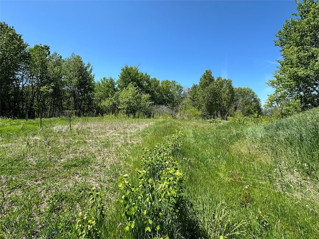 view of nature with a rural view