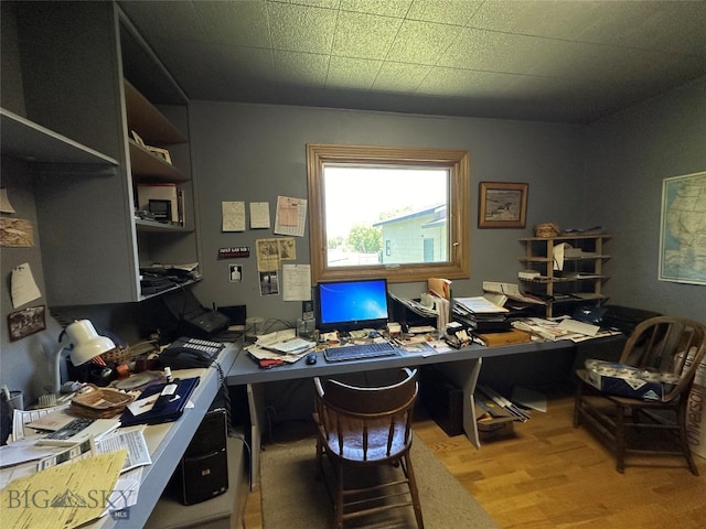 office area featuring wood-type flooring