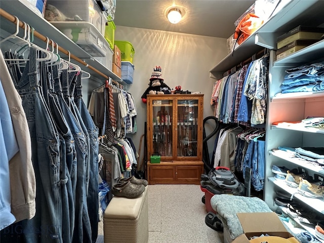 view of spacious closet