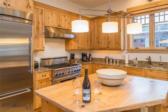 kitchen featuring under cabinet range hood, wooden counters, high quality appliances, and a sink