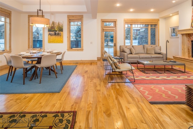 interior space featuring light hardwood / wood-style floors and a raised ceiling