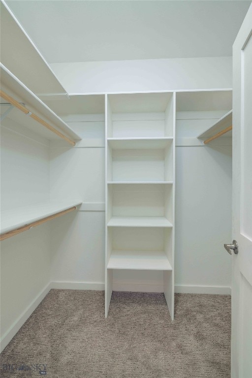 walk in closet featuring carpet