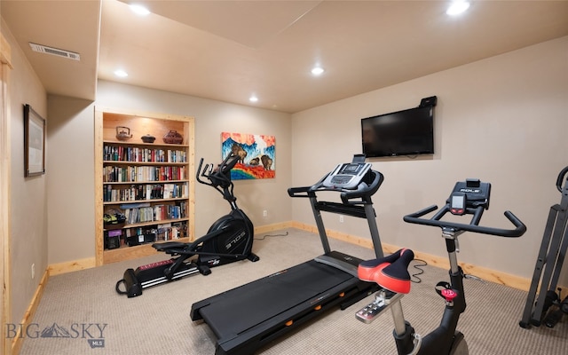 exercise area featuring carpet flooring