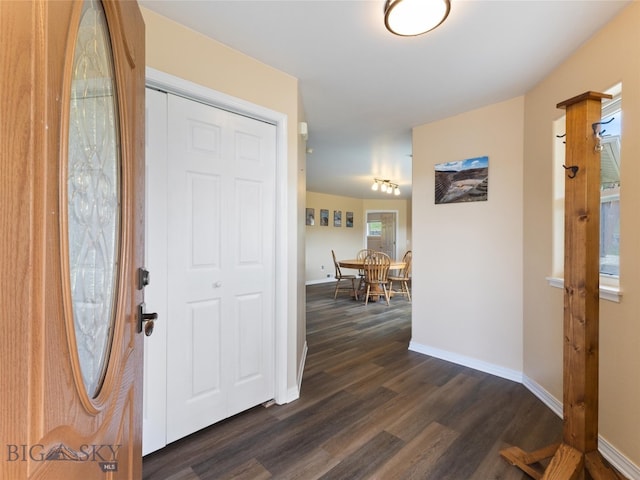 foyer entrance featuring dark wood-type flooring