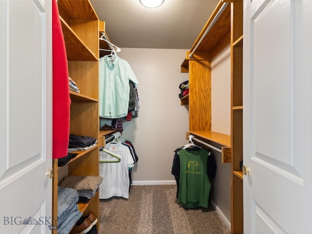 walk in closet with dark carpet