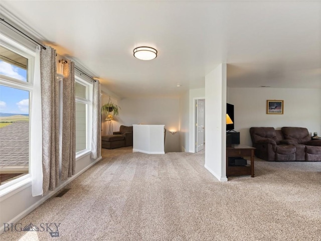 105 High Ground Ave, Livingston, MT 59047 - photo 23