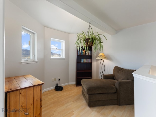 sitting room featuring hardwood / wood-style floors