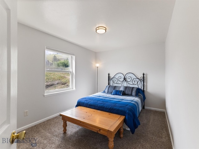 bedroom featuring carpet floors