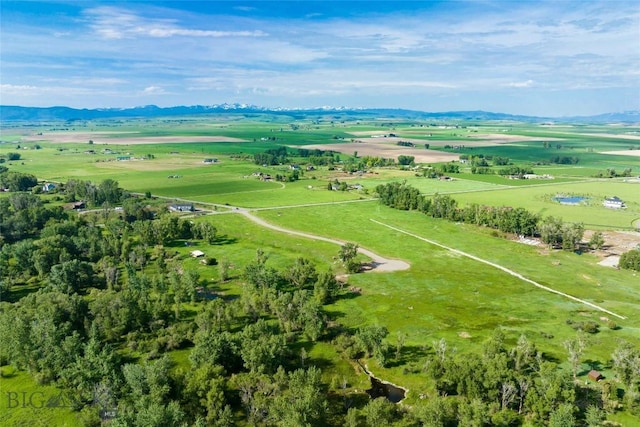 birds eye view of property with a mountain view and a rural view