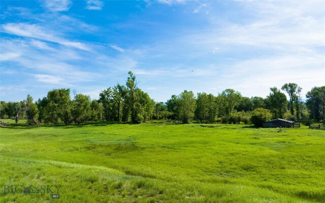 view of local wilderness featuring a rural view