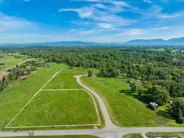 bird's eye view with a mountain view