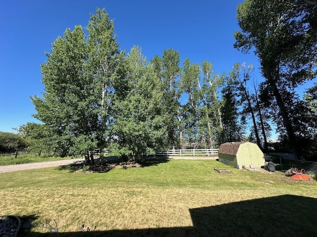 view of yard with a shed