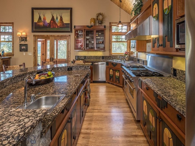 kitchen with french doors, sink, hanging light fixtures, light wood-type flooring, and appliances with stainless steel finishes