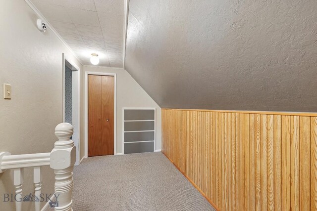 interior space featuring carpet floors, a textured ceiling, and lofted ceiling