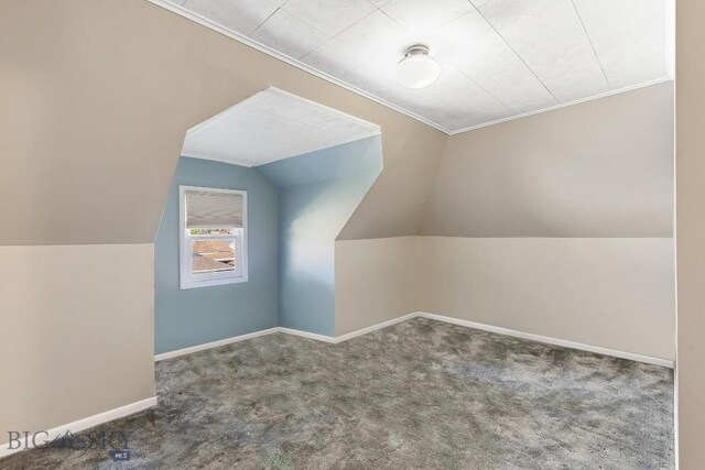 additional living space with carpet and vaulted ceiling