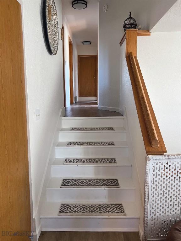 staircase with dark hardwood / wood-style flooring