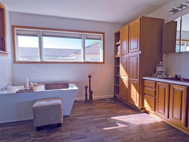 bathroom featuring wood-type flooring and vanity