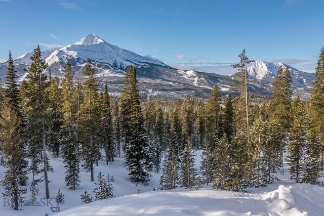 124 Ulerys Lakes Rd, Big Sky, MT 59716 - photo 2