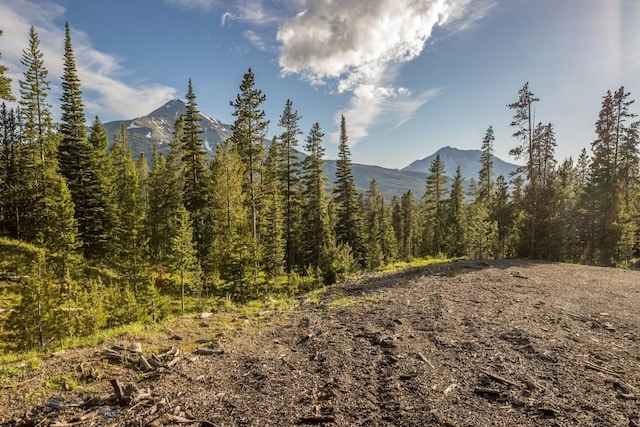 124 Ulerys Lakes Rd, Big Sky, MT 59716 - photo 4