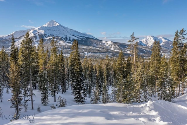 124 Ulerys Lakes Rd, Big Sky, MT 59716 - photo 5