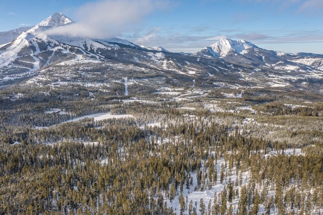 124 Ulerys Lakes Rd, Big Sky, MT 59716 - photo 8