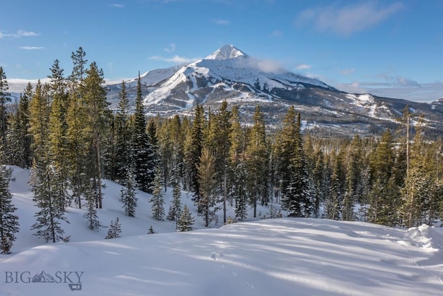 124 Ulerys Lakes Rd, Big Sky, MT 59716 - photo 9