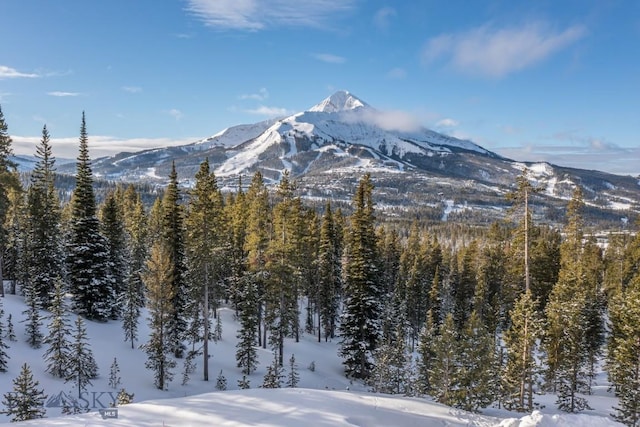 124 Ulerys Lakes Rd, Big Sky, MT 59716 - photo 11