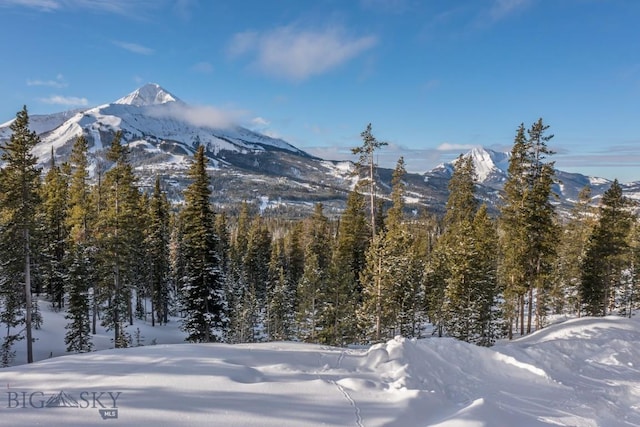 124 Ulerys Lakes Rd, Big Sky, MT 59716 - photo 13