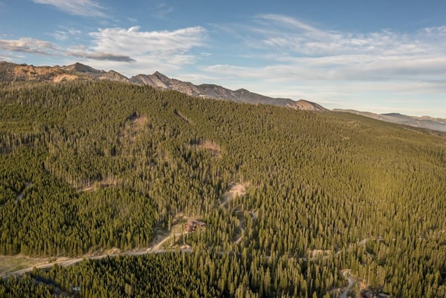 124 Ulerys Lakes Rd, Big Sky, MT 59716 - photo 19