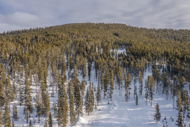 124 Ulerys Lakes Rd, Big Sky, MT 59716 - photo 20